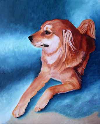 Golden Retriever Painting in oils on canvas